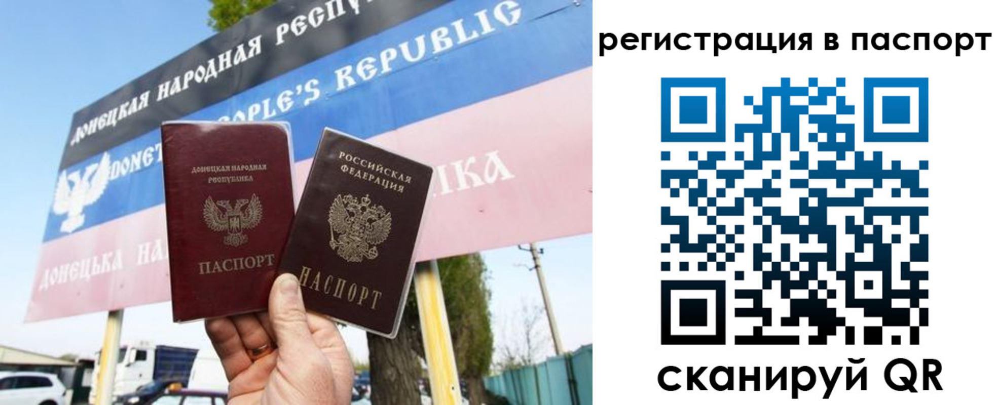 прописка поиск в Йошкар-Оле